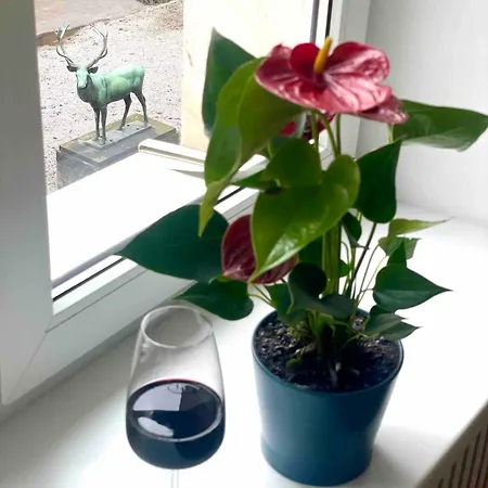 Nowy Swiat - Centrum, Stare ,atrakcje Na Krok Lejlighed Warszawa