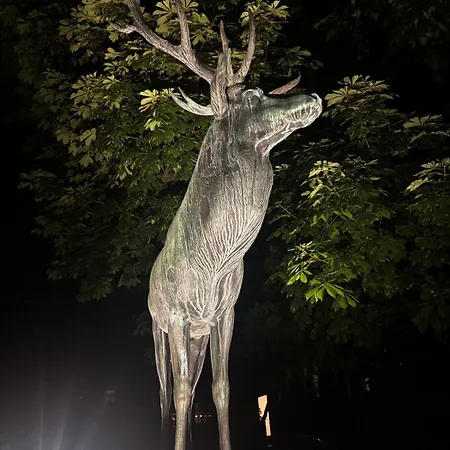 Nowy Swiat - Centrum, Stare ,atrakcje Na Krok Varsovia