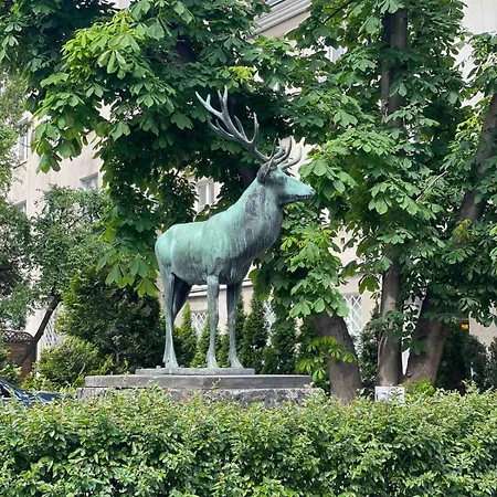 Nowy Swiat - Centrum, Stare ,atrakcje Na Krok *