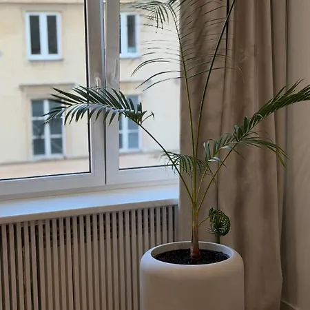 Nowy Swiat - Centrum, Stare ,atrakcje Na Krok * Warschau