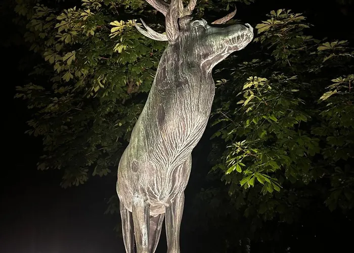 Nowy Swiat - Centrum, Stare ,atrakcje Na Krok وارسو